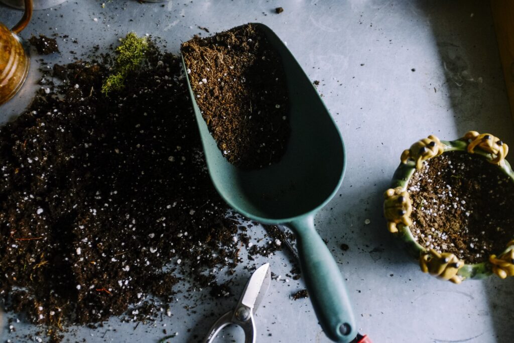 Sustainable usage of specialty coffee grounds; garden scooper for soil