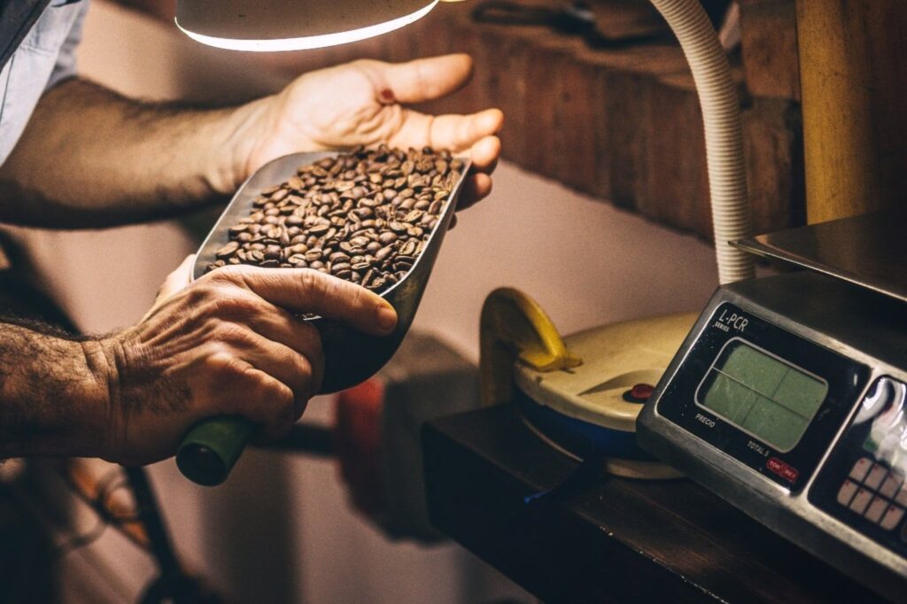 Man inspecting the quality of a fresh roasted batch of specialty coffee.