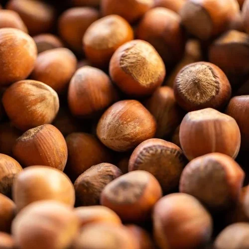 Pile of beautiful brown hazelnuts