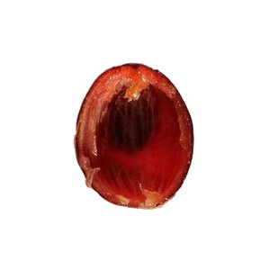 Coffee cherry husk