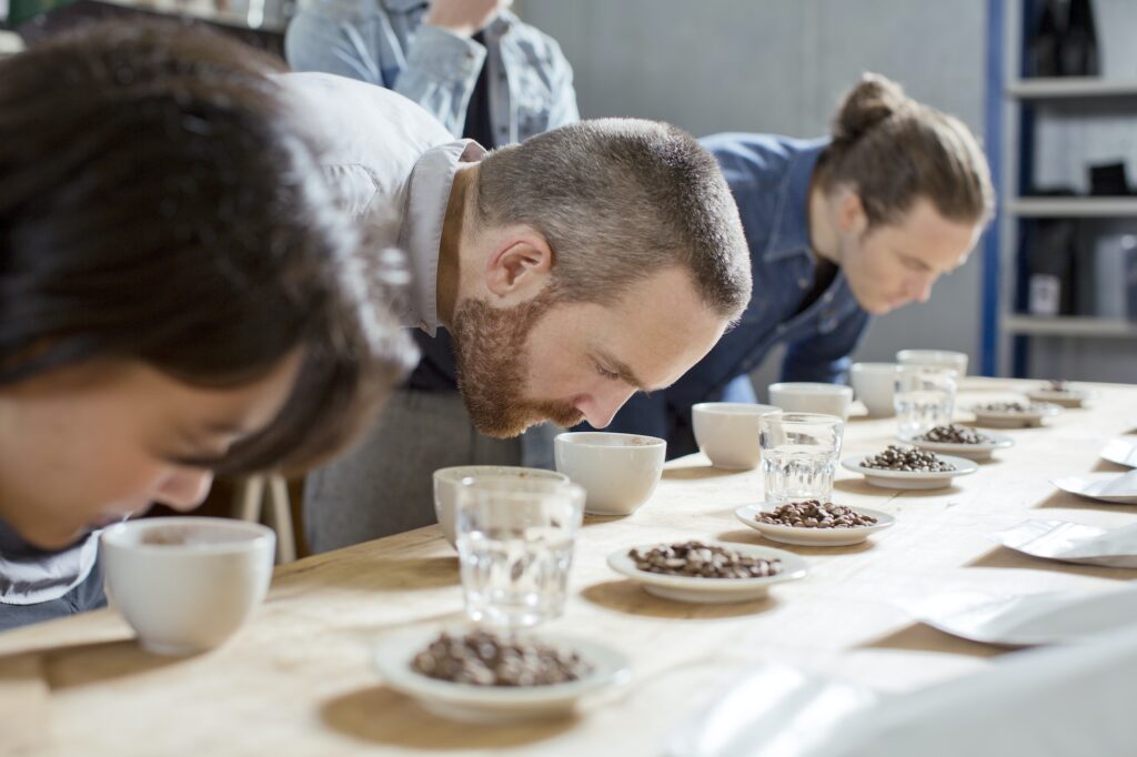 Coffee tasters smelling cups of coffee